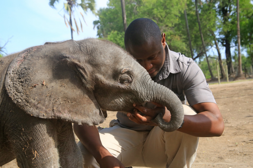 Photos & Videos - Elephant Havens Wildlife Foundation