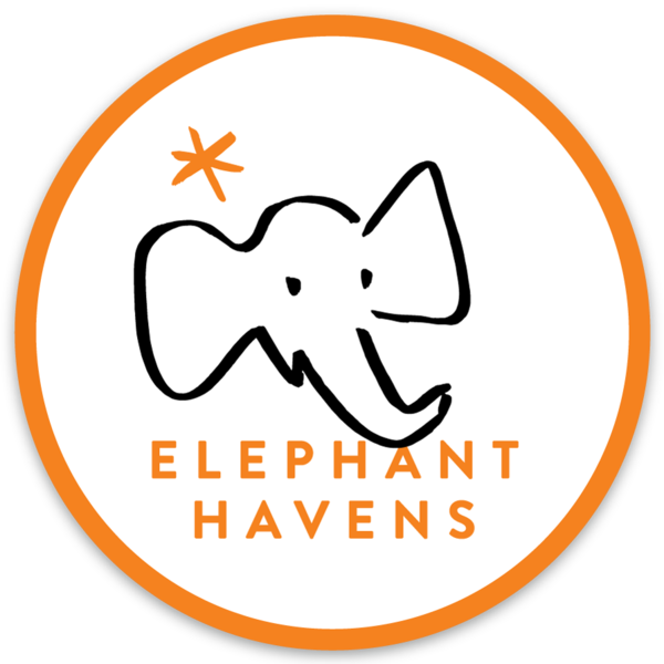 Elephant Havens Logo Decal