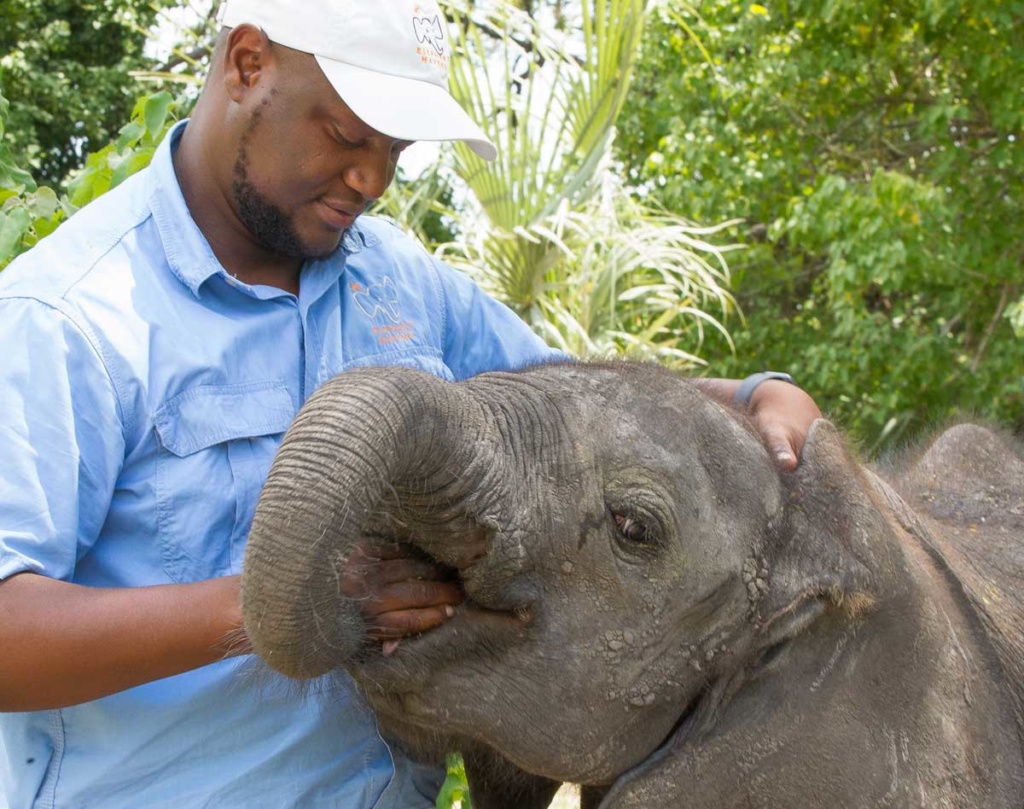 Elephant Havens handler and baby