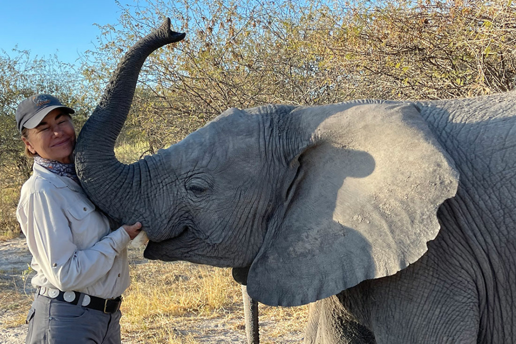 These baby elephants are thriving, and they have goats to thank