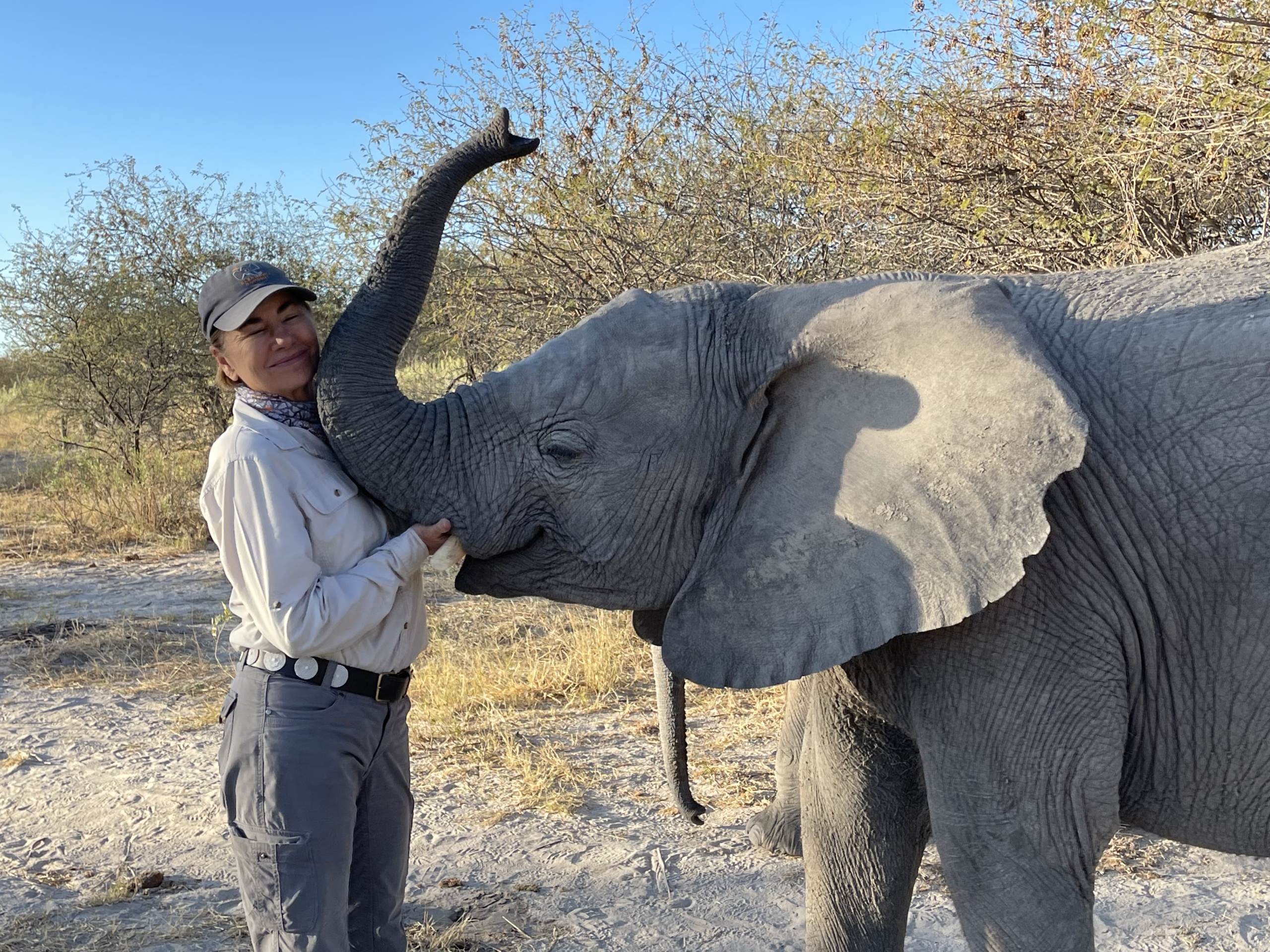 June Update—Challenge Met & Project Report - Elephant Havens Wildlife