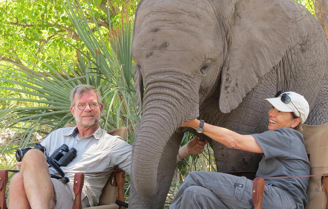 Scott gives you a peek into daily life at EH - Elephant Havens Wildlife