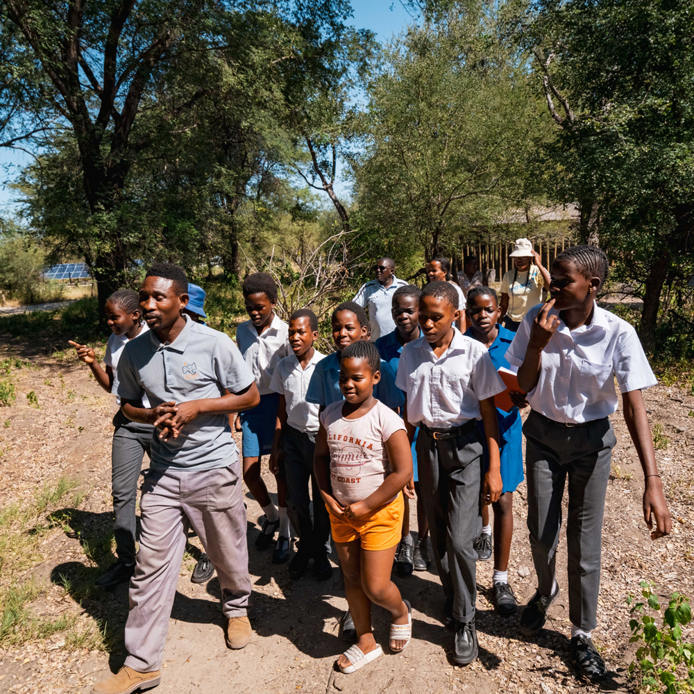 Campers learn about elephant care from our talented team of handlers.