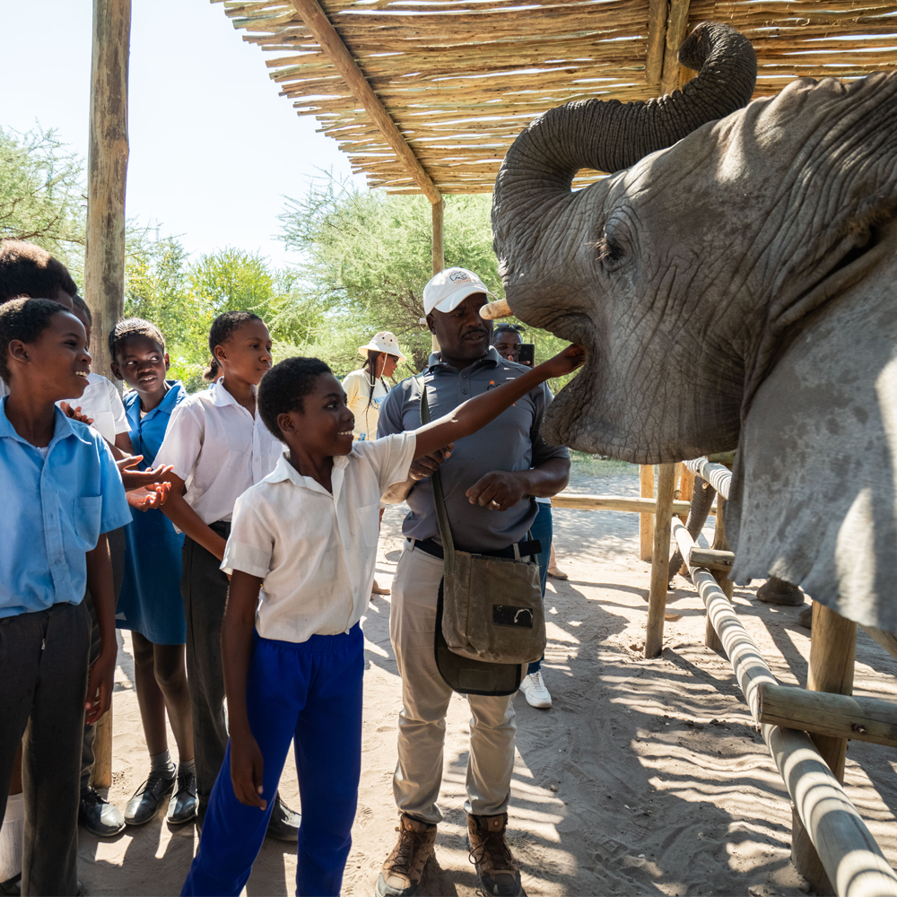 Elephant Havens Community Outreach photo