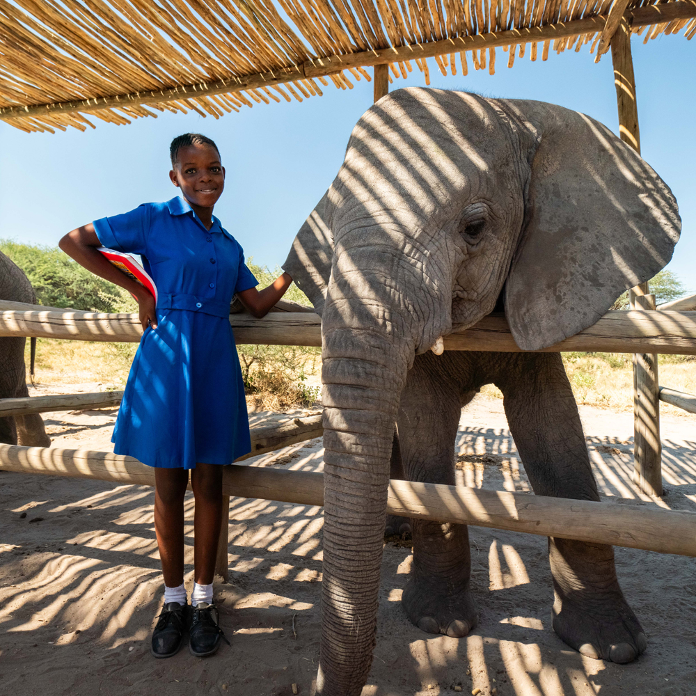 Nothing beats the smile on a camper’s face when meeting an elephant for the first time.