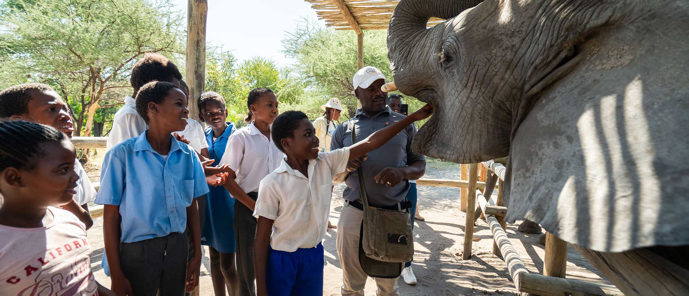 Educating the Next Generation of Conservationists - Elephant Havens