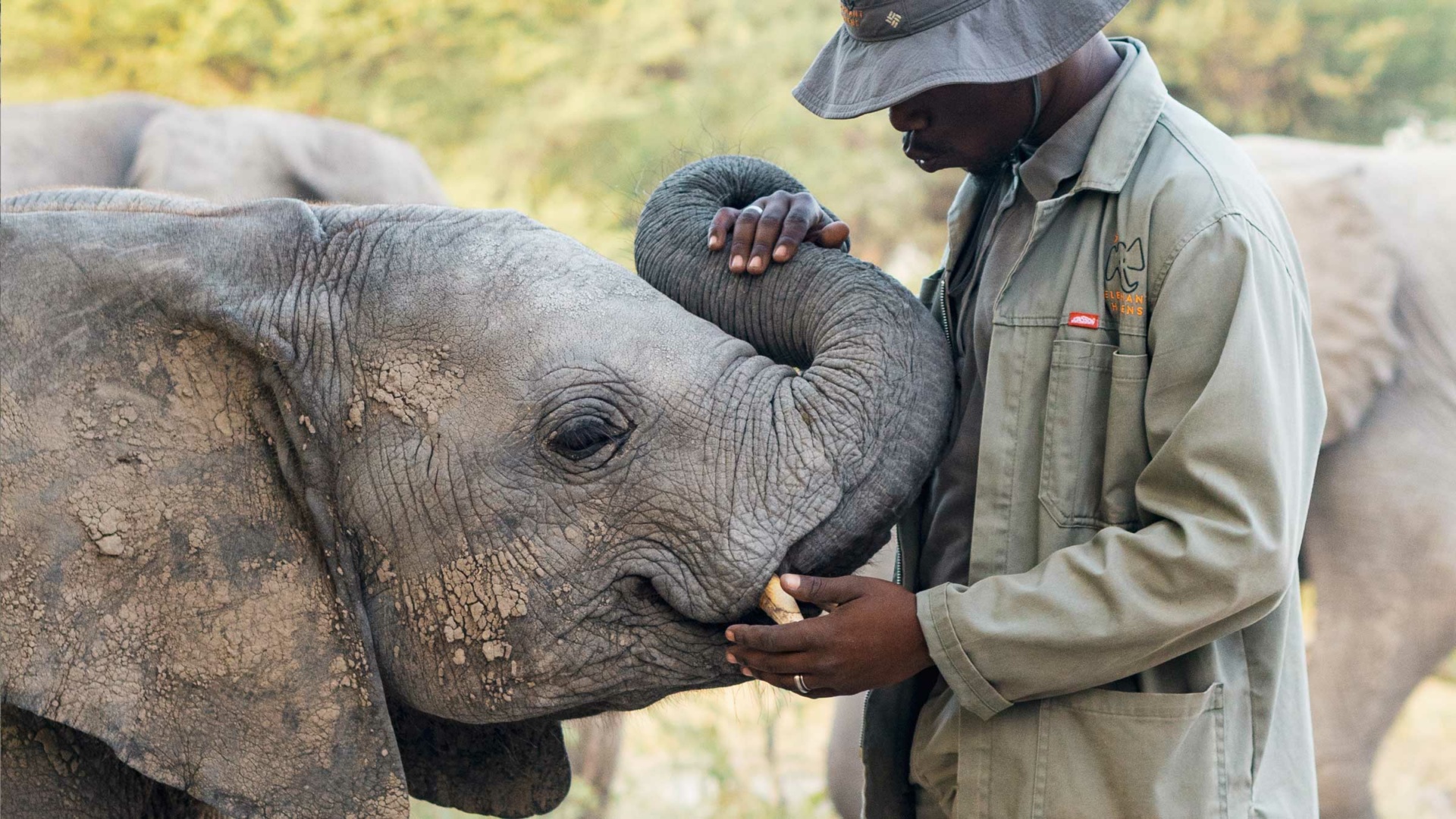 Elephant Havens handler blows elephant a kiss