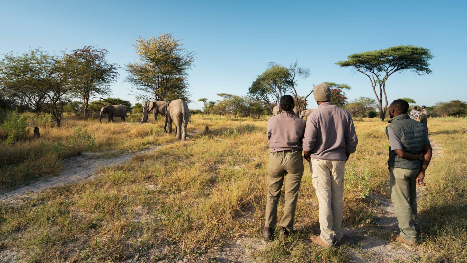 Elephant Havens Handlers watching elephants leave