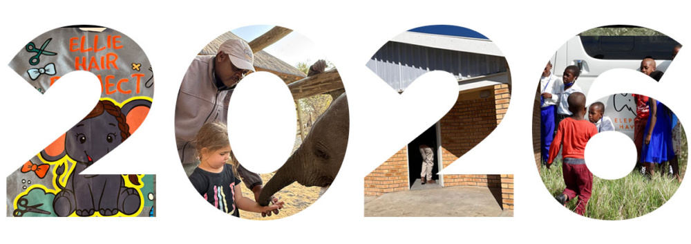 Beginning the year with gratitude