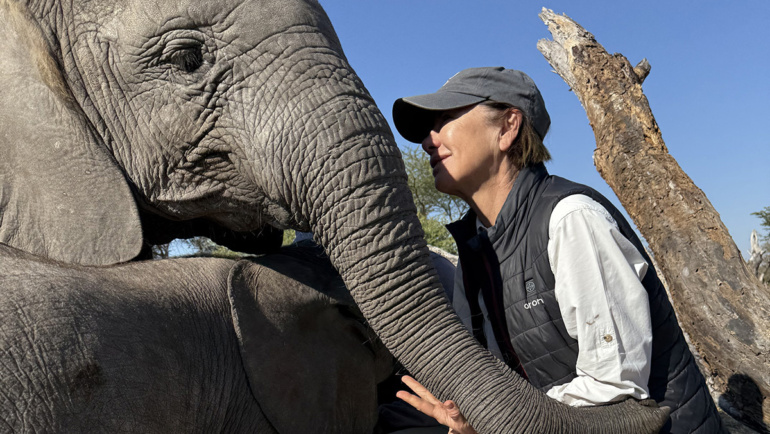 “Why elephants?” you ask…