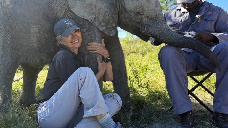 How do elephants know?